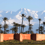 Marrakech full-day guided tour