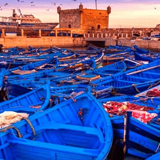 essaouira day trip from marrakech