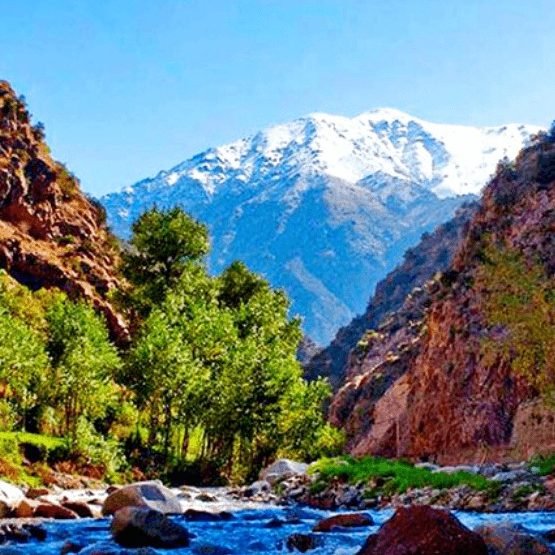 ourika valley day trip from marrakech